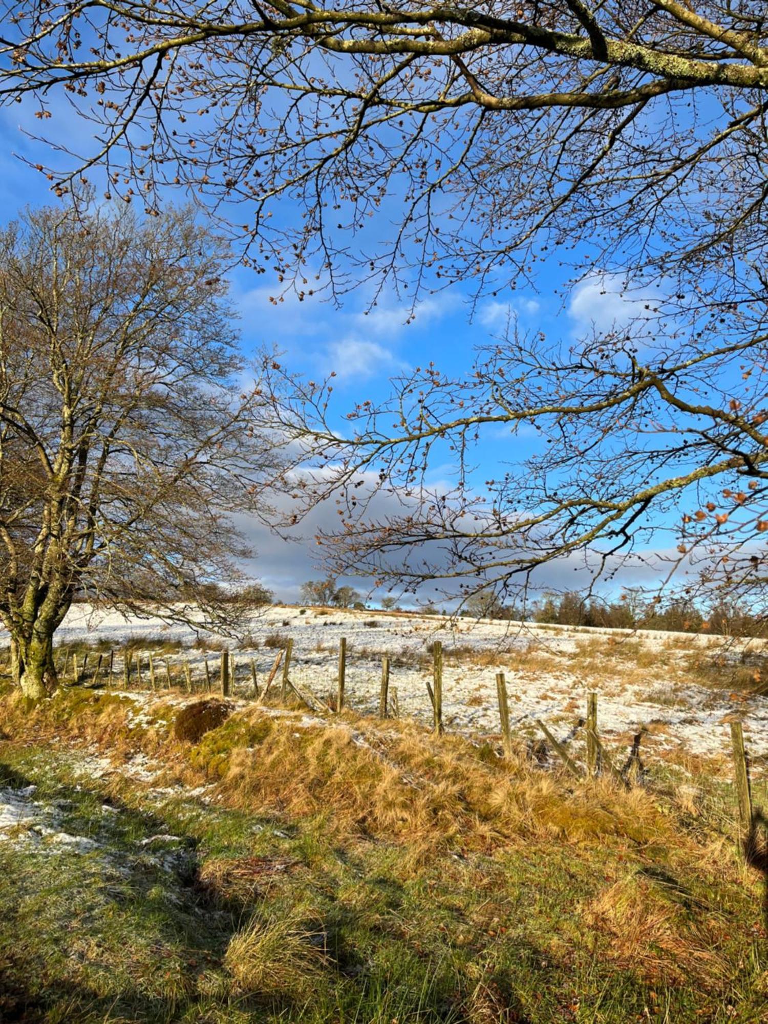 Stoneymollan Over Loch Lomond บัลลอค ภายนอก รูปภาพ