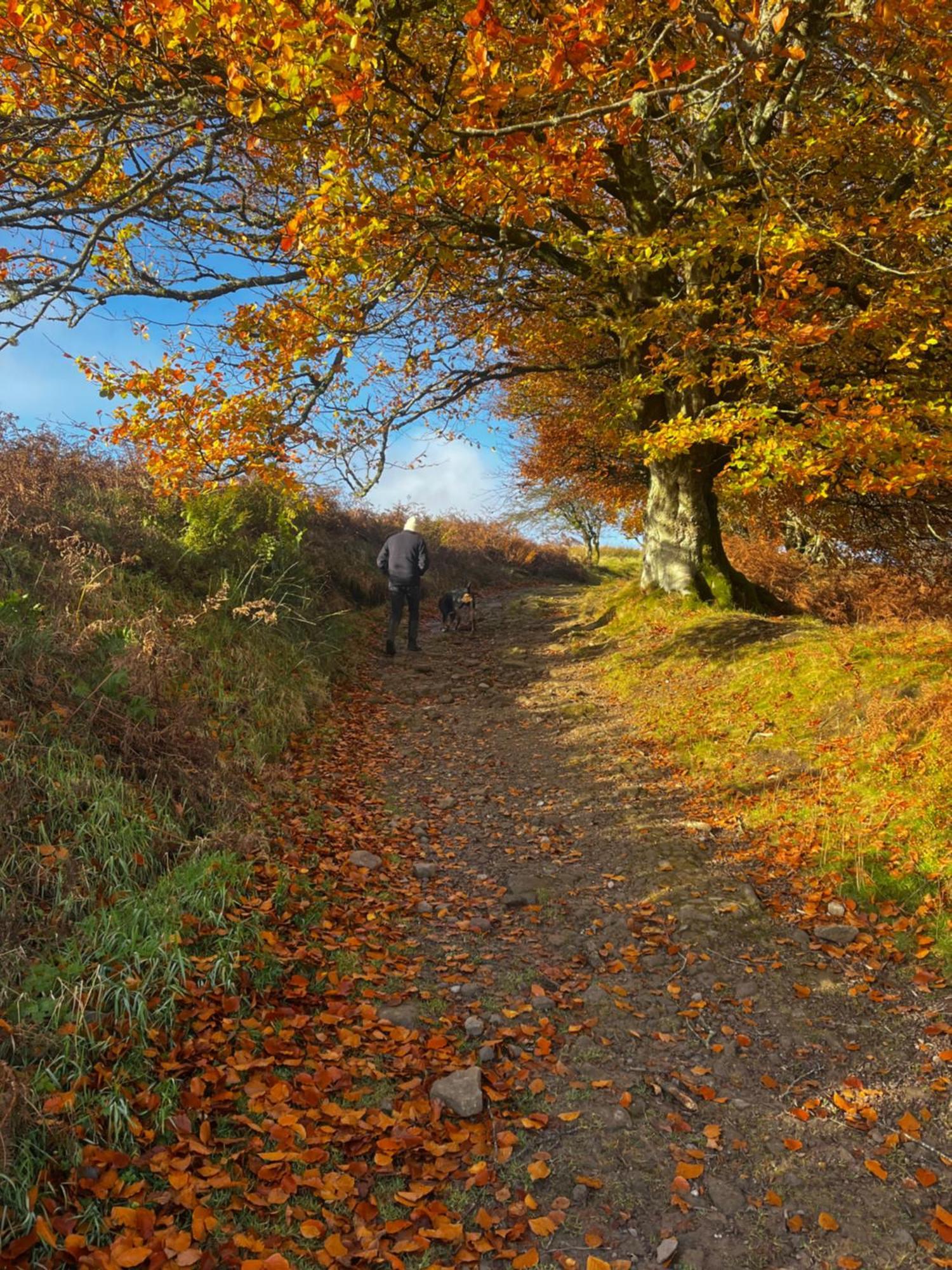 Stoneymollan Over Loch Lomond บัลลอค ภายนอก รูปภาพ